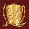 VSIS Logo